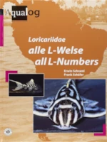 Aqualog Loricariidae