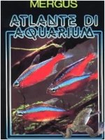 Atlante di Aquarium