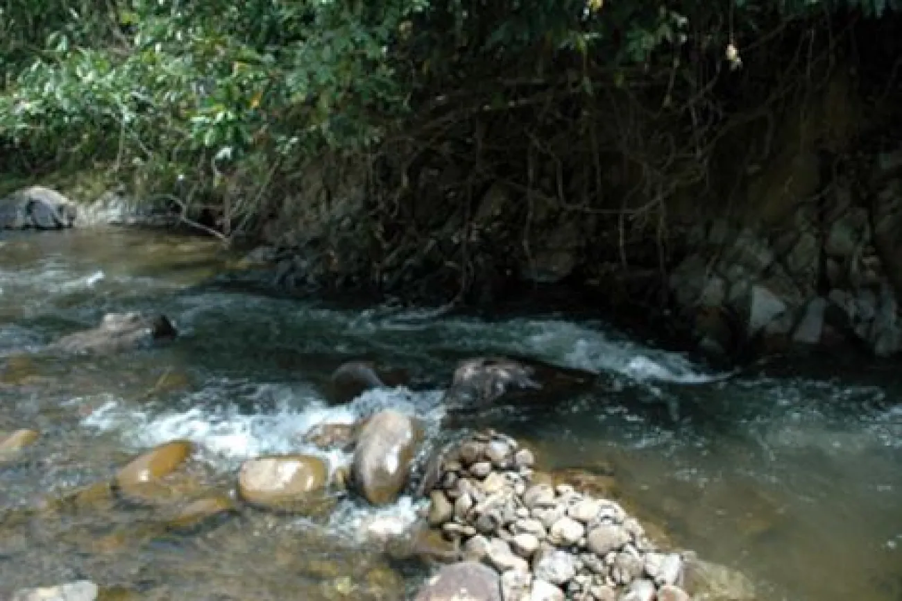 Sungai Tikolod a Sabah - Foto © Marco Endruweit