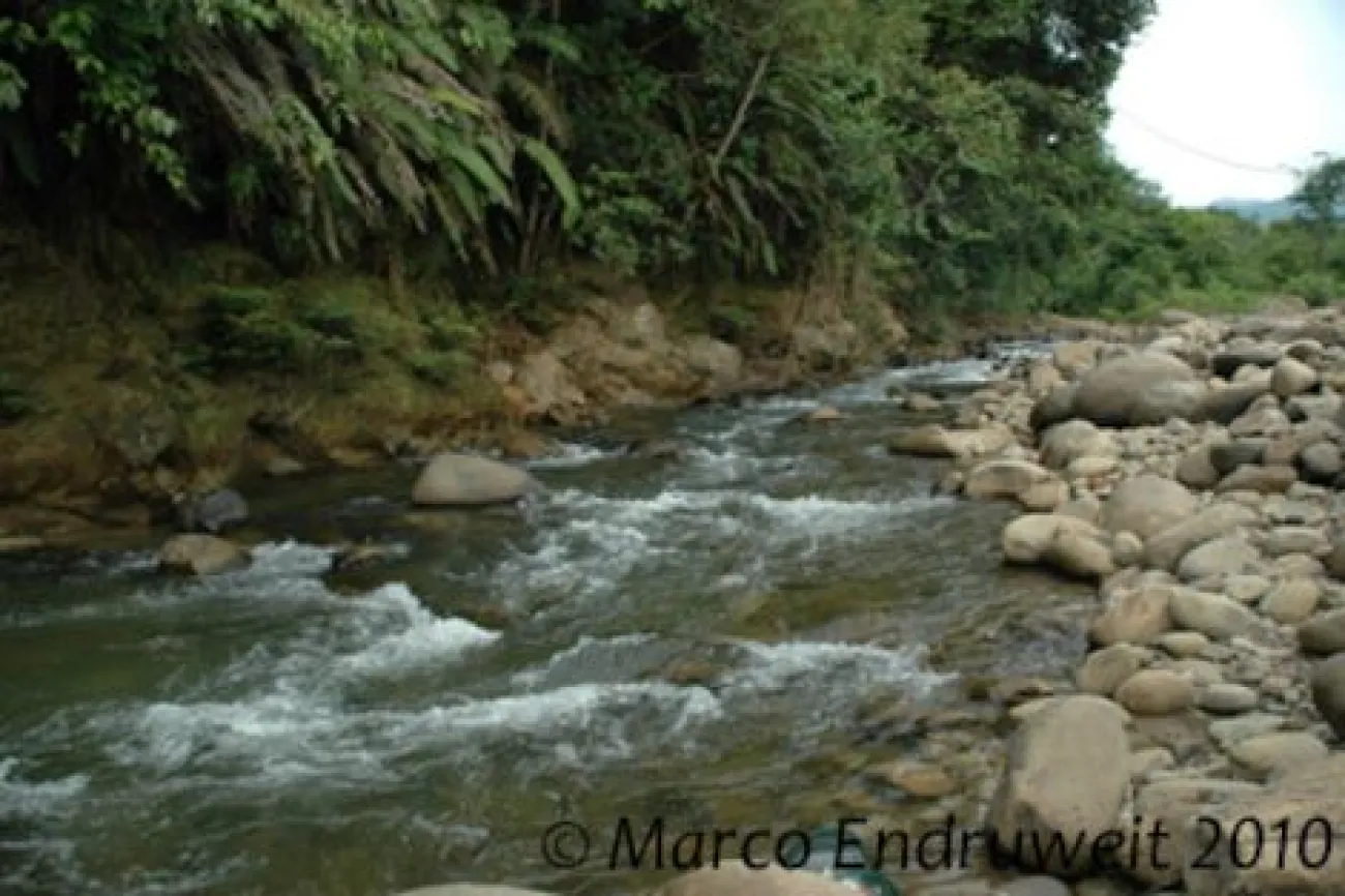 Fiume Kimanis a Sabah in Borneo - Foto © Marco Endruweit
