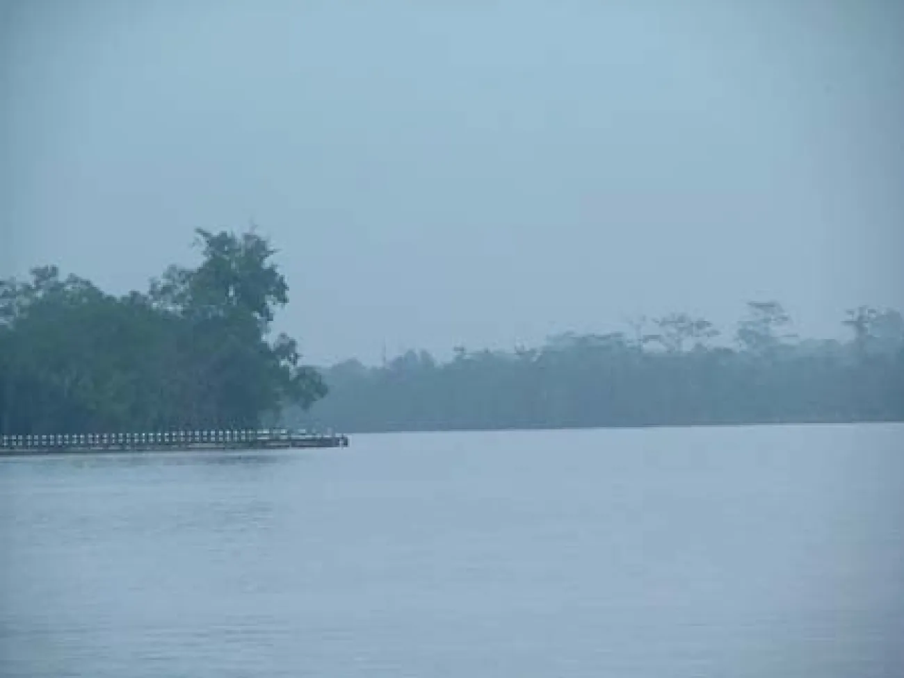Sungai Sarekei in Borneo - Foto © Michael Lo