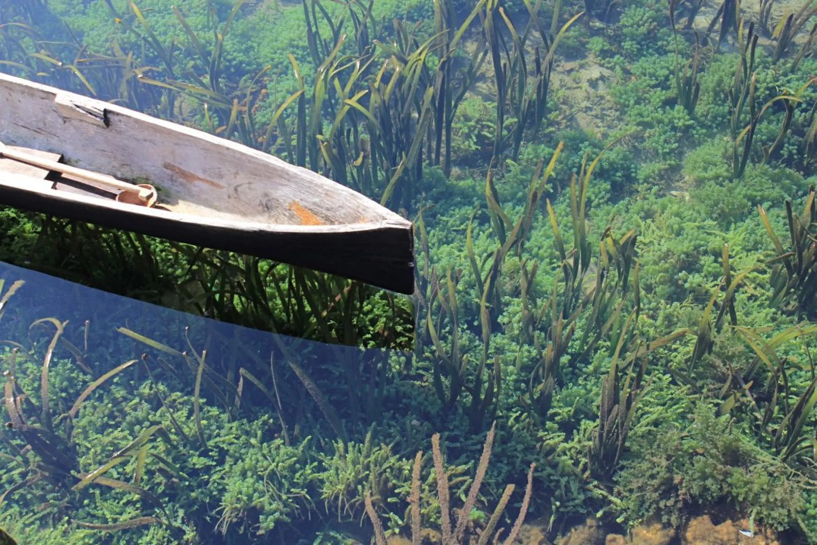 Fiume d'acqua chiara in Indonesia